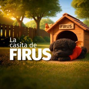 La Casita de Firus